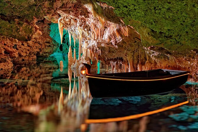 Half Day Tour to Dinosaur Land in Mallorca - Practical tips so the half-day feels smooth