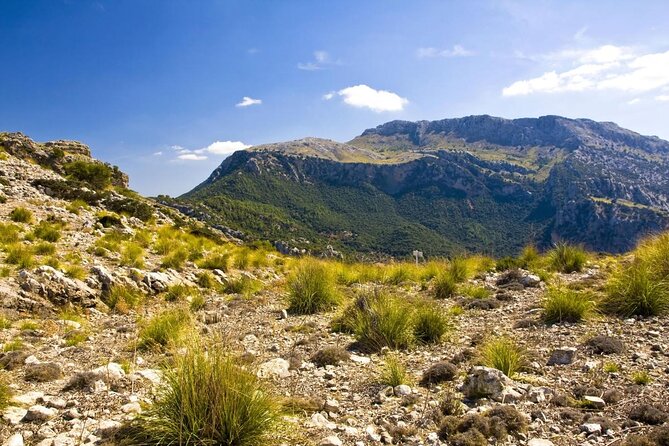 Hiking Private Tour in Pollensa - Key Highlights You’ll Feel on This Pollença Hike