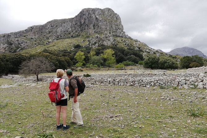 Hiking Private Tour in Pollensa - Choosing Your Hike from Pollença, Without Stuck-In-One-Route Regrets