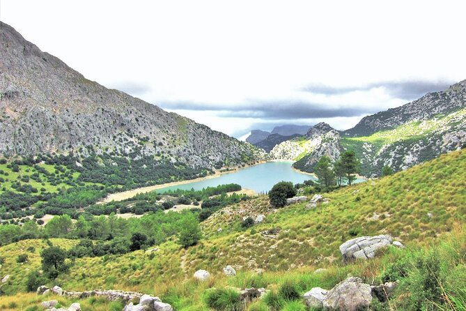 Hiking Private Tour in Pollensa - Lluc Country: The Mountain Side of Mallorca
