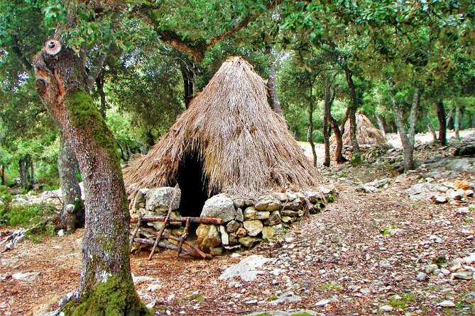 Hiking Private Tour in Pollensa - Colònia de Sant Pere: A Gentle Landing Back Near the Coast