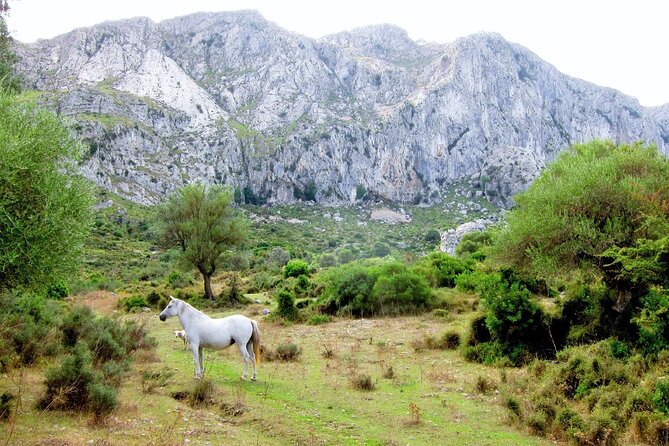 Hiking Private Tour in Pollensa - Torrent de Pareis: Canyon Steps, Scrambling, and a Beach Finish