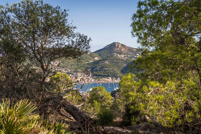 Hiking Tour into the sunset - Port Andratx to Sant Elm - Port d’Andratx to Sant Elm: the real vibe of this sunset route