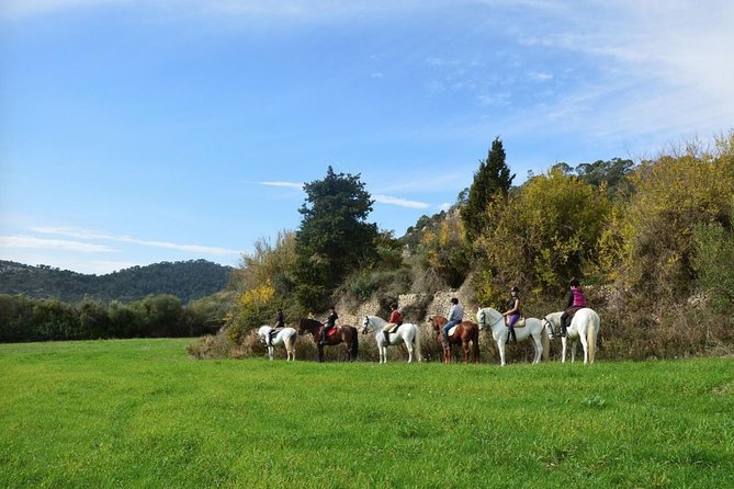 Horseback Riding in Randa Valleys, Mallorca, Spain - Key Highlights You’ll Actually Feel