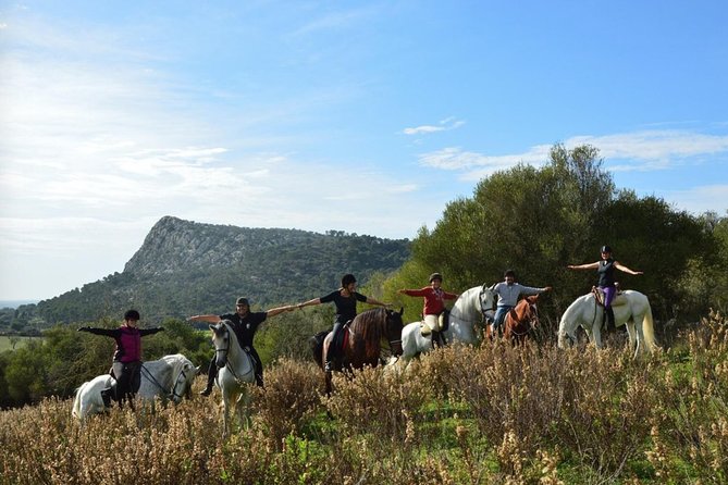 Horseback Riding in Randa Valleys, Mallorca, Spain - The Racecourse Start: Theory That Makes the Ride Easier