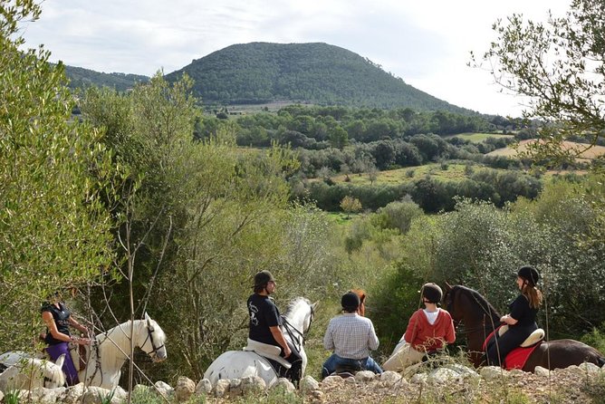 Horseback Riding in Randa Valleys, Mallorca, Spain - Mounting Up: The 30-Minute Practice That Builds Trust