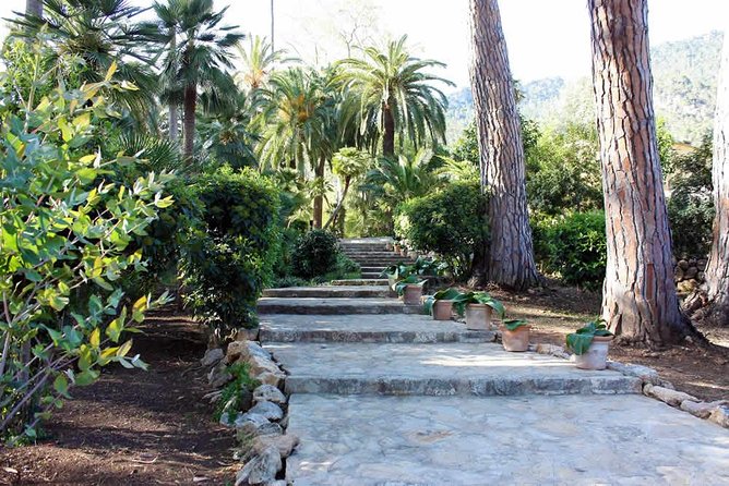 Jardines de Alfabia Tickets - The Moorish Residence Feel: What to Look For in the Old House