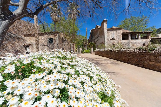 Jardines de Alfabia Tickets - Comfort, Shoes, and Family-Friendly Pace