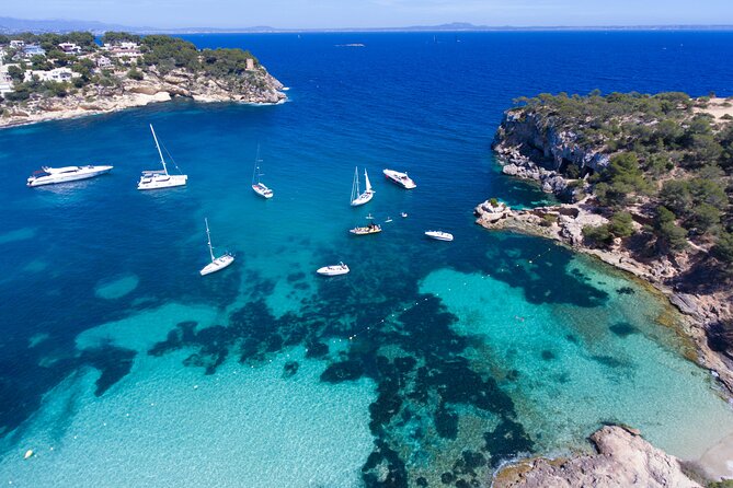 Jet Boat Excursion in South West Coast of Mallorca - Quick Prep Tips for a Smooth Jet Boat and Cove Day