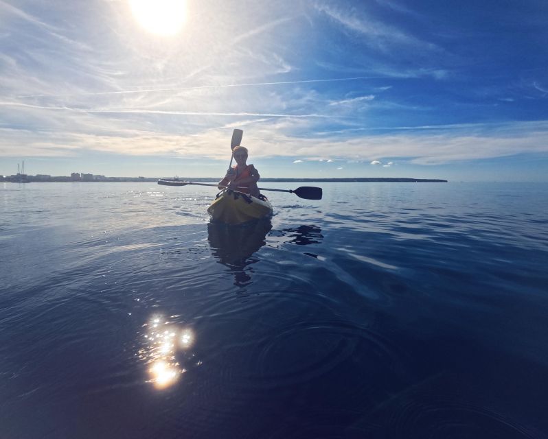 Kayak Tour Bay of Palma - Stop Time: Breaks, Photos, Swimming, and Snorkeling