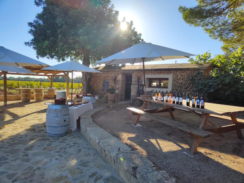 Llucmajor: Bodegas Bordoy Wine Tour - Quick Key Points Before You Go