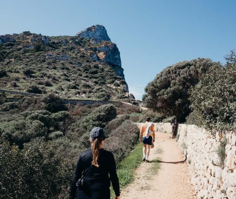 Majorca: Visit the Natural Park of Dragonera Island by boat - The 15-minute ferry ride: quick, scenic, and practical