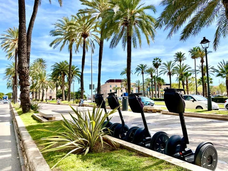 Mallorca: 2.5 H Sightseeing Segway Tour with Local Guide - Should You Book the Mallorca Segway Tour with 2 Wheel Tours Palma?