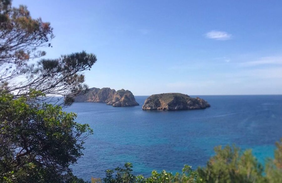 Mallorca: 2-Hour Coastline & Malgrat Islands Catamaran Tour - Languages, guides, and what the commentary gives you