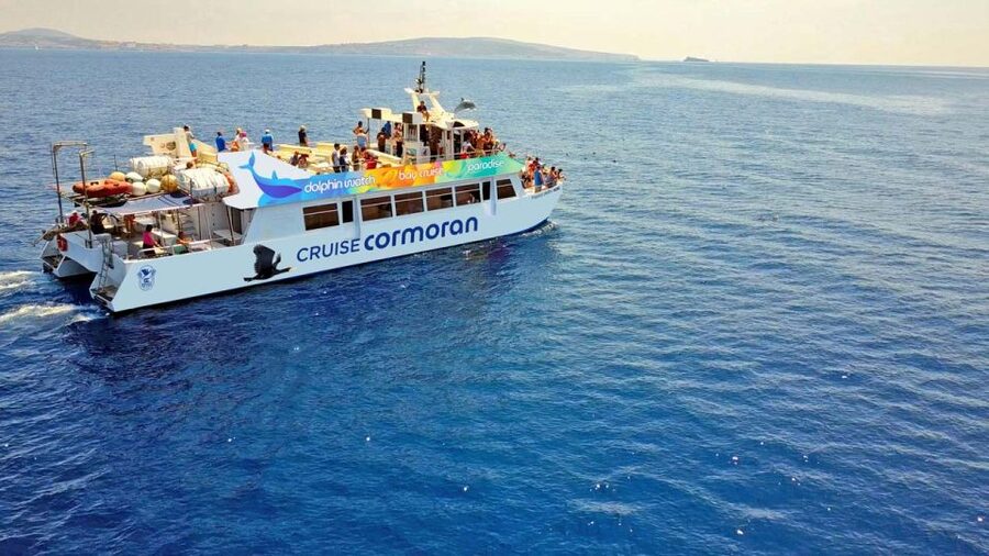 Mallorca: 2-Hour Dolphin Watching Cruise & Glass-Bottom Boat - Key highlights that matter