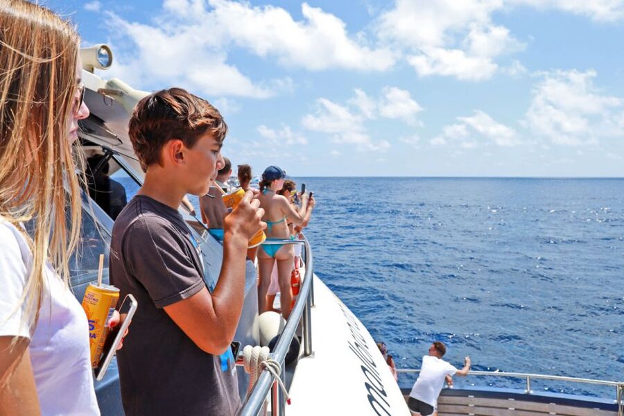 Mallorca: 2-Hour Dolphin Watching Cruise & Glass-Bottom Boat - Underwater Windows: The Best Way to Use the Lower Deck