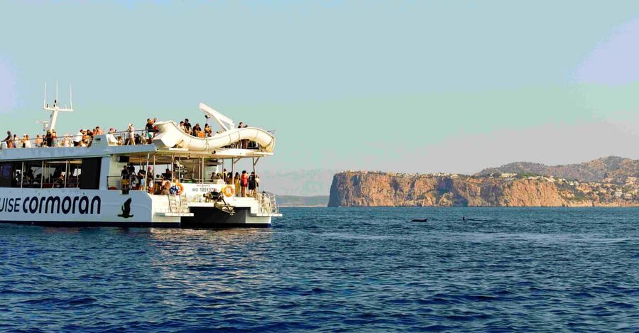 Mallorca: 2-Hour Dolphin Watching Cruise & Glass-Bottom Boat - Price and Value for $37: What You’re Really Paying For