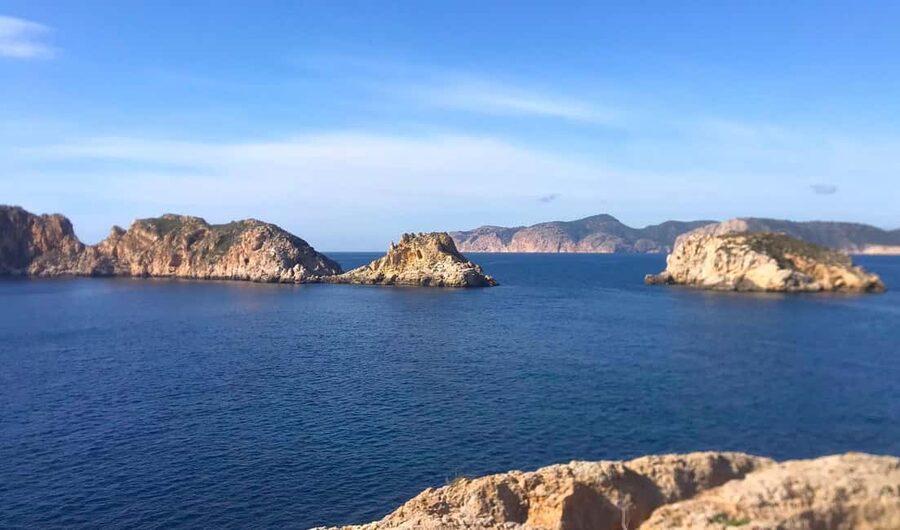 Mallorca: 3.5-Hour Boat Trip with Swimming and Snorkeling - Crew and guiding style, including what you might see like Dominick