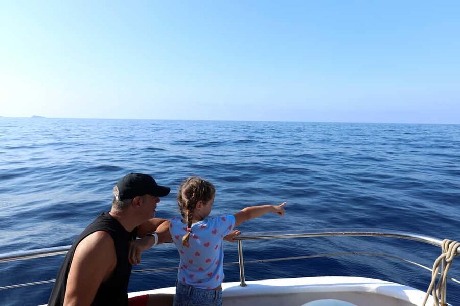 Mallorca: 3-Hour Afternoon Dolphin Watching Boat Tour - Who This Tour Fits Best (and Who Should Skip It)