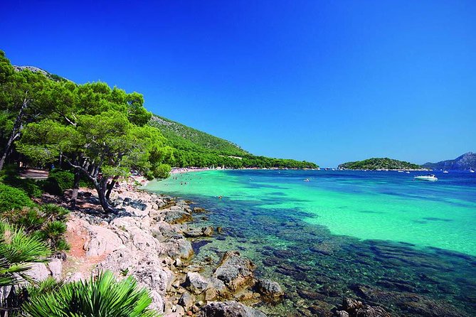 Mallorca: 4-Hour Tour of Formentor by Bus and Boat from North Area - Stop 1: No Frills Excursions, your guide setup
