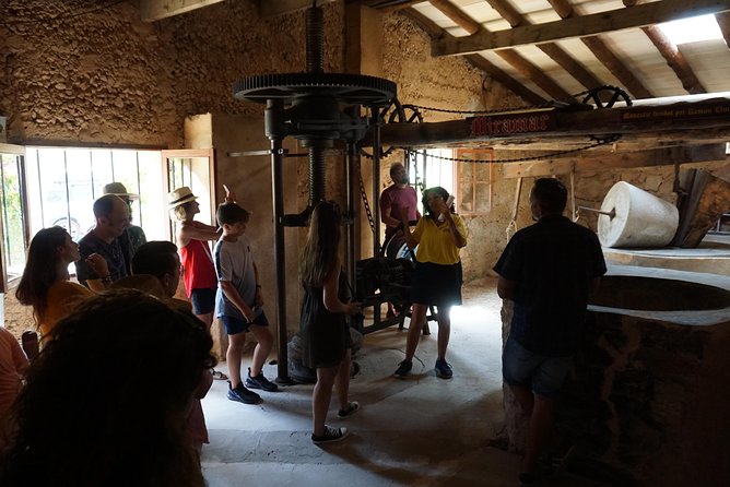 Mallorca: 5-hours Hidden Marvels Tour - Getting there: the 10:00 am start and hotel pickup that simplifies your day