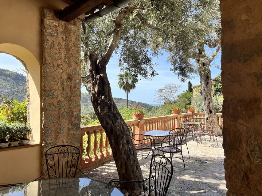 Mallorca Beyond the Guidebooks - Tour with the famous Author - Key things I’d write on a sticky note before you go