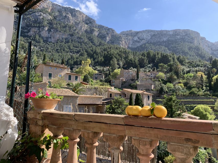 Mallorca Beyond the Guidebooks - Tour with the famous Author - Valldemossa in 45 minutes, how to make it count