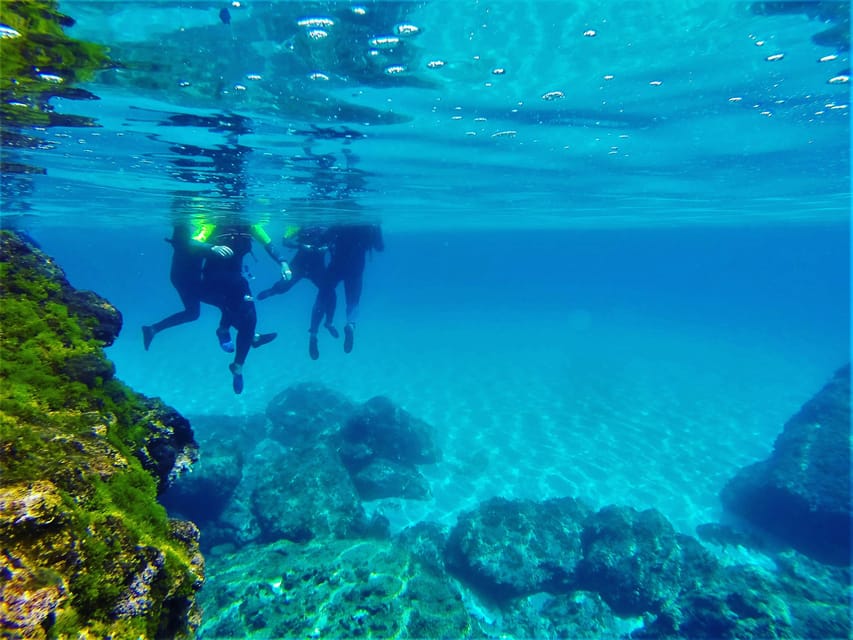 Mallorca: Cala Romántica Cliff Hike and Sea Cave Tour - When the sea cave swim is risky: dry cave alternatives