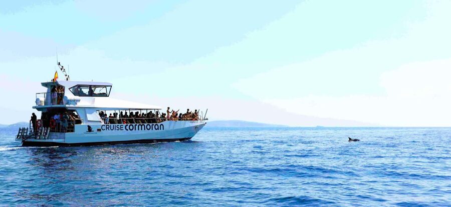 Mallorca: Catamaran Coastal Cruise with Lunch - Who This Cruise Fits Best (and Who Might Want Something Else)