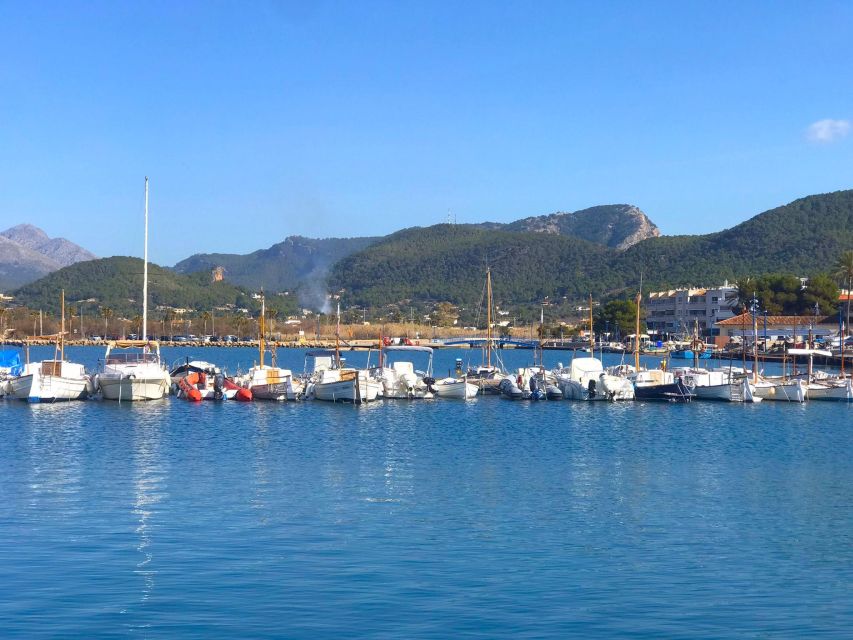 Mallorca: Catamaran Coastal Cruise with Lunch - Port Andratx in 40 Minutes: Great Marina Views, Fast Feet