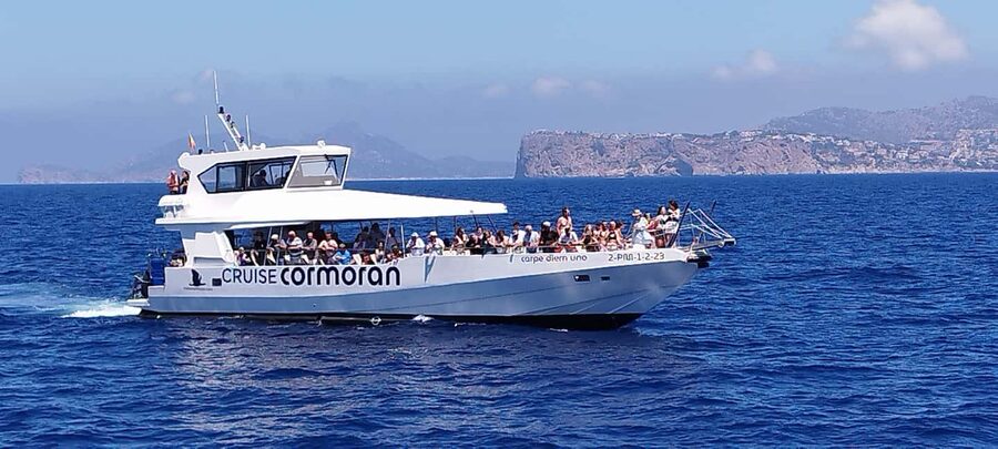 Mallorca: Catamaran Coastal Cruise with Lunch - Underwater Windows: A Small Feature That Changes the Mood