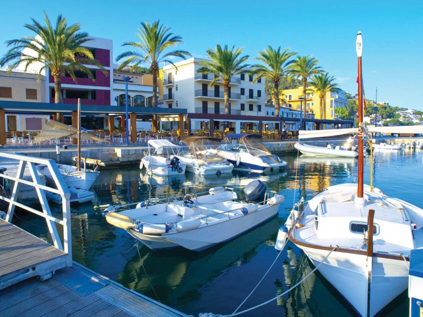 Mallorca: Catamaran Coastal Cruise with Lunch - Cala Egos Swim and Snorkel: The Part You Will Remember