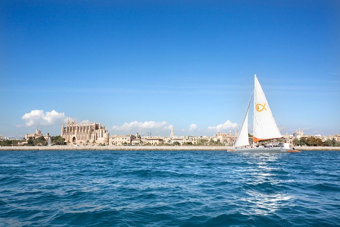 Mallorca Catamaran Cruise and Snorkeling Trip - Bay of Palma cruising: the part that feels like sightseeing without the crowds
