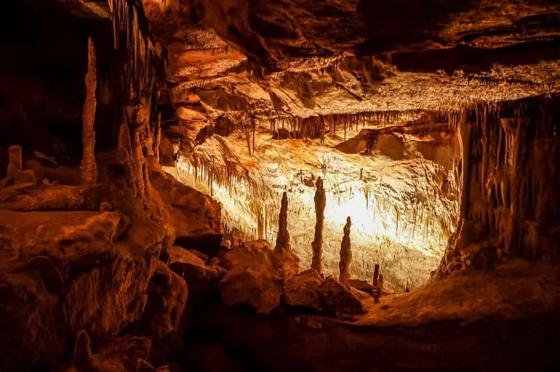Mallorca: Caves of Drach Tour from the North with Boat Trip - Caves of Drach and Lake Martel concert, the real reason to book