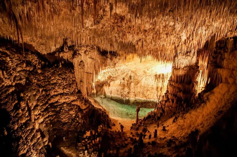 Mallorca: Caves of Drach Tour from the North with Boat Trip - Lake Martel: the music performance and the boat option