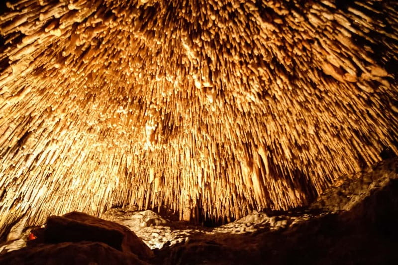 Mallorca: Caves of Drach Tour from the North with Boat Trip - The 5-hour half-day flow from Alcudia: pearls first, caves second