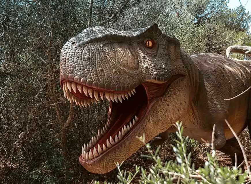 Mallorca: Caves of Hams and Dinosaurland Ticket with Pickup - Price and value: does $75 make sense for this Mallorca combo?