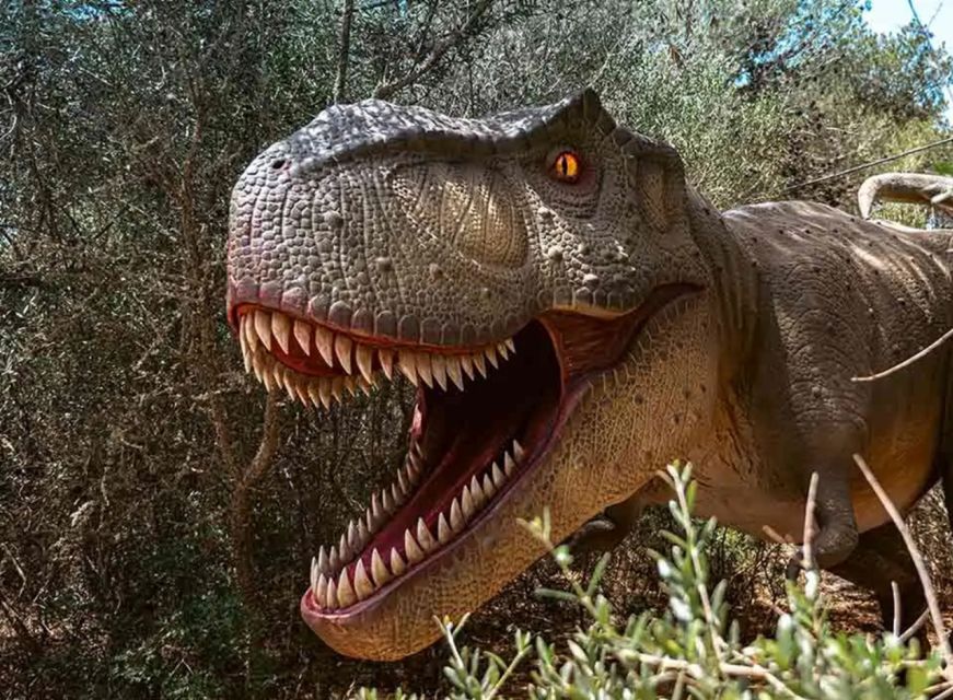 Mallorca: Caves of Hams and Dinosaurland Ticket with Pickup - Hotel pickup in north and east Mallorca, and how not to miss it