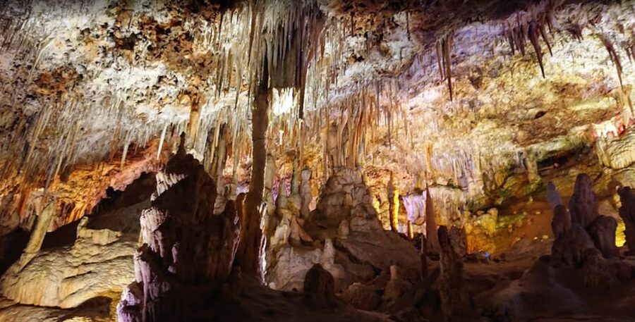 Mallorca: Day Trip to Caves of Hams & Optional Dinosaurland - FAQ