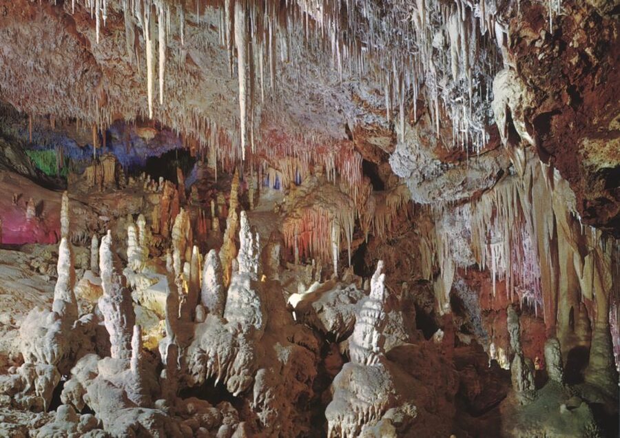 Mallorca: Day Trip to Caves of Hams & Optional Dinosaurland - Optional Dinosaurland on Thursdays: best for kids, fun for adults too