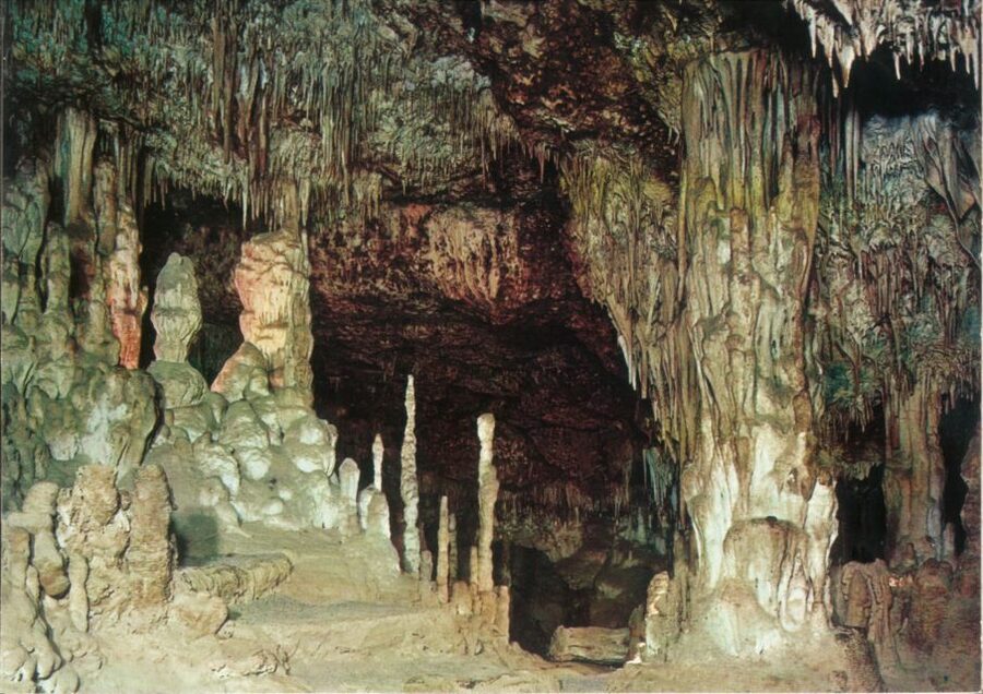 Mallorca: Day Trip to Caves of Hams & Optional Dinosaurland - Who this day trip fits best (and who should think twice)