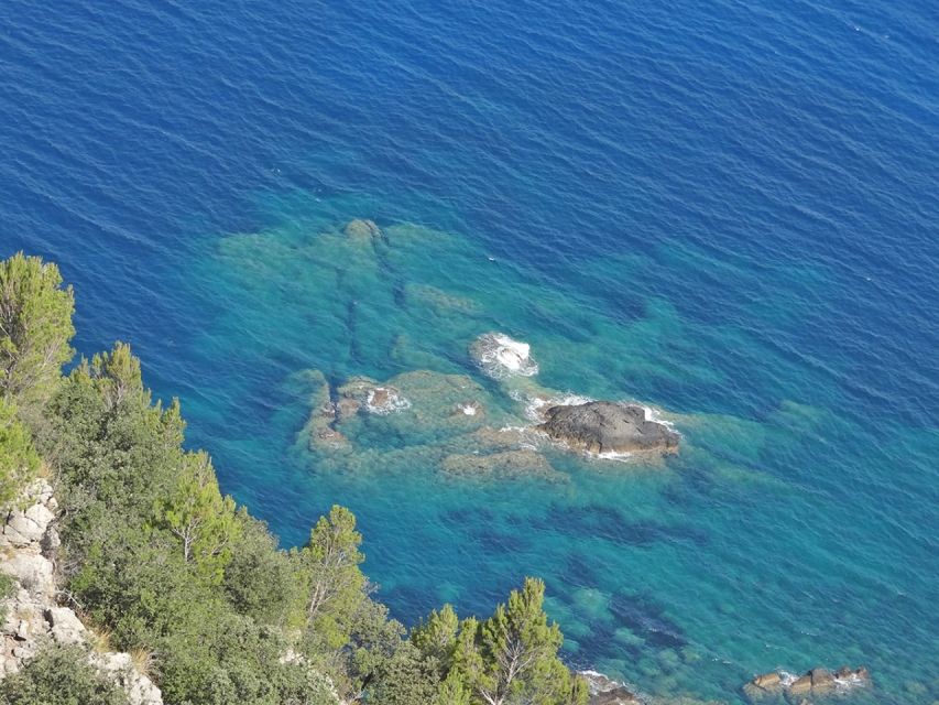 Mallorca: Day Trip to Hidden Gems of Tramuntana with Lunch - Sóller Olive Oil Mill: private access, production lessons, and orange harvesting