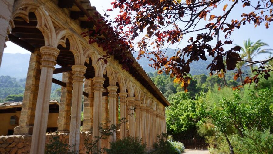 Mallorca: Day Trip to Hidden Gems of Tramuntana with Lunch - Pa amb oli lunch, gató dessert, and the orange juice you will remember