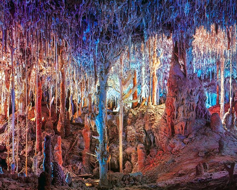 Mallorca: Dinosaurland and Caves of Hams Combined Ticket - Caves of Hams Start With the Round Cave Bird Garden