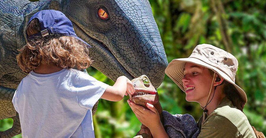 Mallorca: Dinosaurland and Caves of Hams Combined Ticket - Classic Cave and the Famous Hook-Shaped Formations