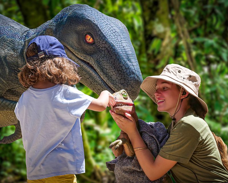 Mallorca: Dinosaurland and Caves of Hams Combined Ticket - Who This Combo Works Best For
