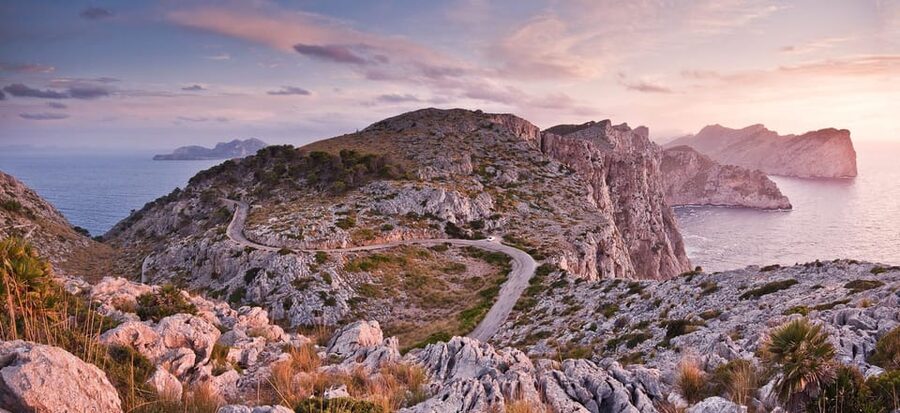 Mallorca: Discover Paradise: Formentor and Playa de Muro - Price and Value at About $64: What You’re Really Paying For
