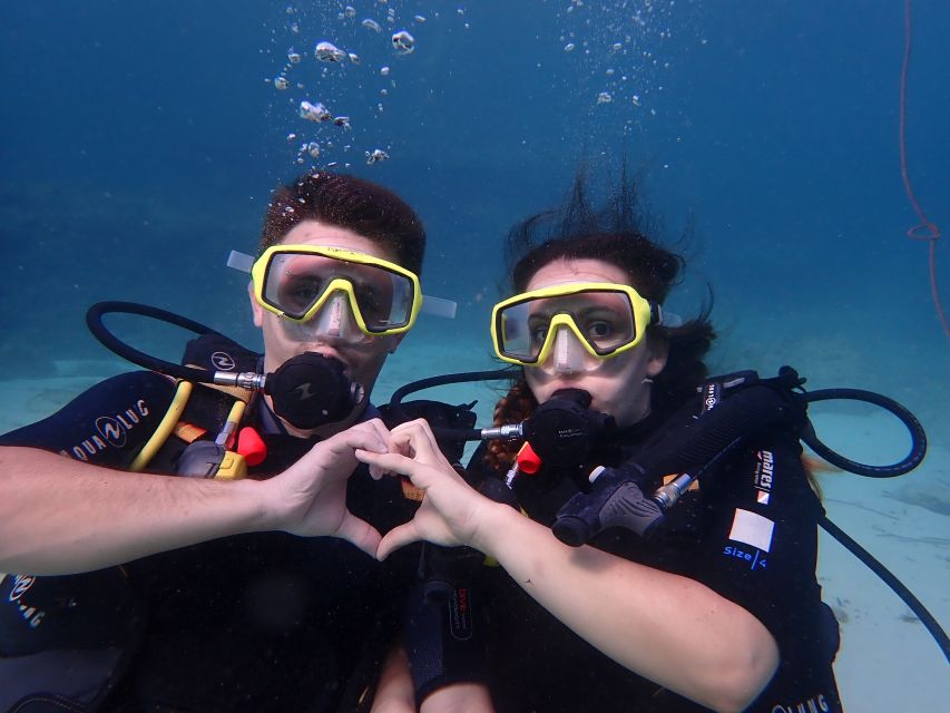 Mallorca: Discover Scuba Diving for Beginners - What you might see in the protected reserve, and how to set expectations