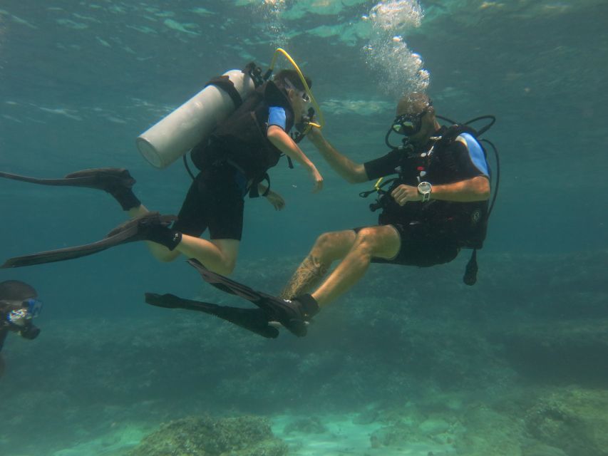 Mallorca: Discover Scuba Diving for Beginners - Getting there: minivan pickup, meeting points, and the gear-weight reality