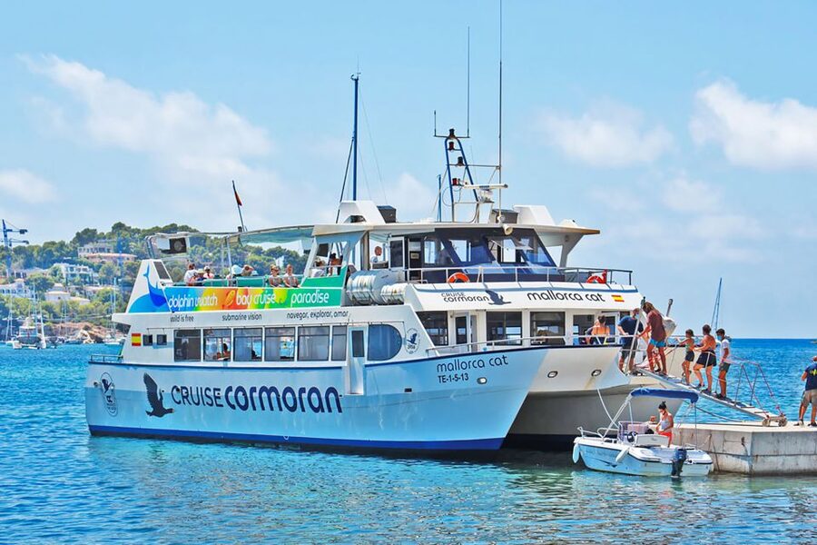 Mallorca: Dolphin Watching Cruise - The swim stop: what you get and what to watch for